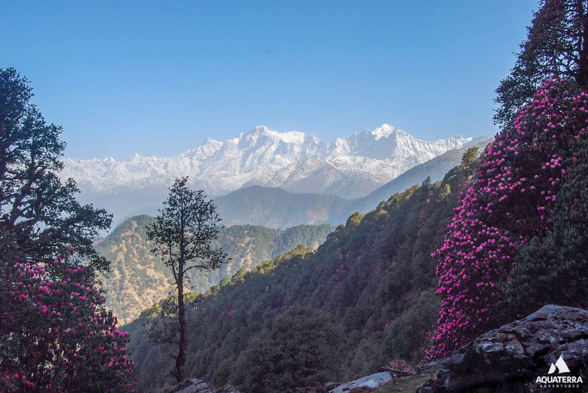 Chopta Tungnath Trek - Uttarakhand